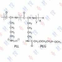 聚赖氨酸-聚乙二醇 接枝共聚物