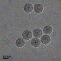 单分散磁性介孔二氧化硅纳米颗粒