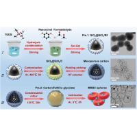 10号展品-磁性纳米粒子封装的类红细胞介孔碳球