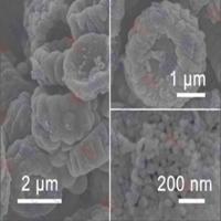 钛铌氧等级多孔微米球粉体